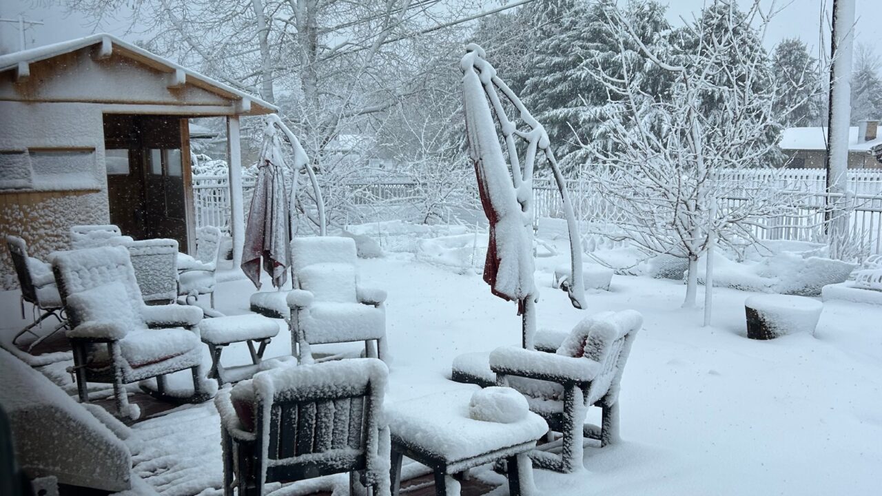 From Policy to Patios: A Week of Learning and Resilience