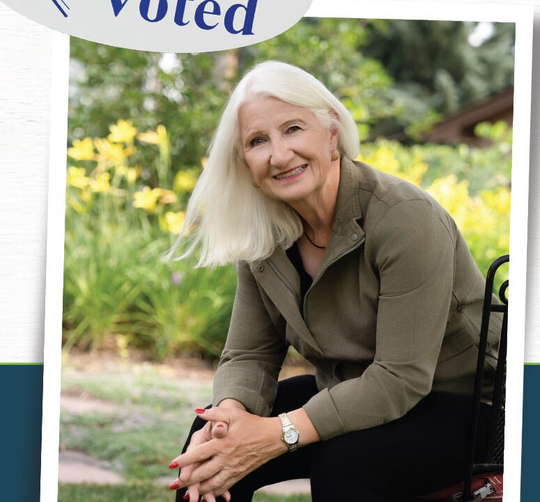 What is my precinct? Where is my sample ballot?