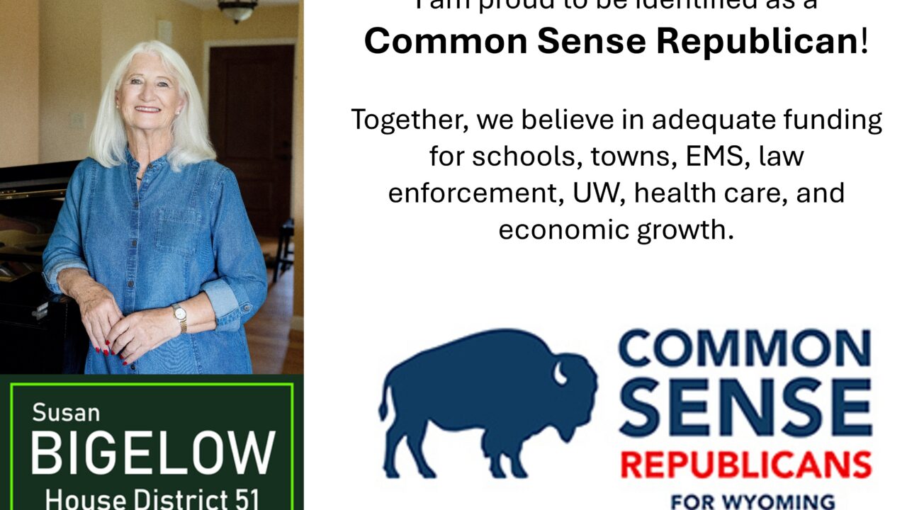 Identified as a “Common Sense Republican for Wyoming”